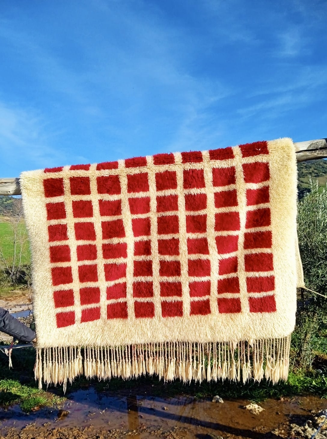 Tapis berbère de luxe Mrirt Salon I Plusieurs Couleurs I