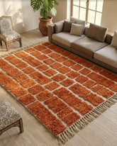 Grand Tapis Beni Ouarain Salon Terracotta - SAFIA RUGS